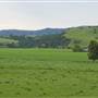 Jamberoo - Swamp & Jamberoo Roads