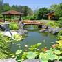 Japanese Edogawa Gardens