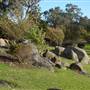 Japanese Gardens Cowra