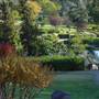 Japanese Gardens Cowra