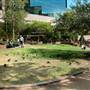 Jessie Street Gardens
