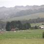Kangaloon