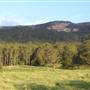 Kangaroo Valley Vistas