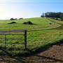 Kiama Homestead
