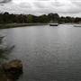 King George Park and Rozelle Foreshore
