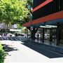 Knox Street - Double Bay