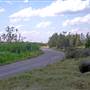 Kooragang Wetlands - Hunter Wetlands National Park