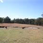 John Scott Kundabung Rodeo Grounds / Stables