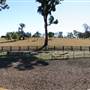 John Scott Kundabung Rodeo Grounds / Stables