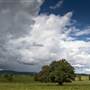 Kyogle