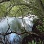 Lane Cove River