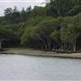 Lane Cove River