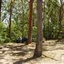Lane Cove National Park