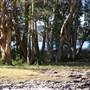 Myall Lakes National Park