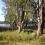 Myall Lakes National Park