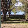 Myall Lakes National Park