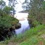 Pearl Beach