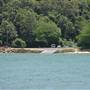 Patonga