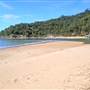 Patonga
