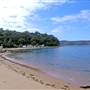 Patonga