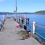 Patonga