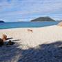 Port Stephens