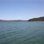 Patonga