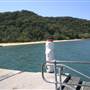 Patonga