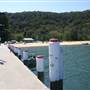 Patonga