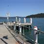 Patonga