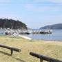 Patonga