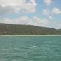 Patonga