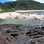 Seal Rocks - Myall Lakes National Park