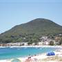Shoal Bay, Port Stephens Shire