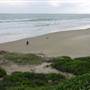 Stockton Dunes - Worimi National Park