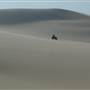 Stockton Dunes - Worimi National Park