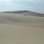Stockton Dunes - Worimi National Park