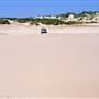 Stockton Dunes - Worimi National Park