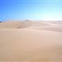Stockton Dunes - Worimi National Park