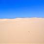 Stockton Dunes - Worimi National Park