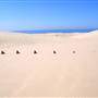 Stockton Dunes - Worimi National Park