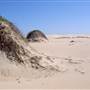 Stockton Dunes - Worimi National Park