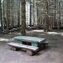 The Firs Picnic Area - Stewarts Brook State Forest