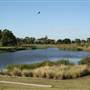 Sydney Park