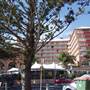 Terrigal Beach