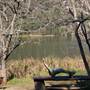 Wisemans Ferry