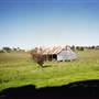 Tocal Historic Homestead
