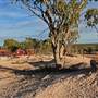 Lightning Ridge
