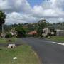 Lismore