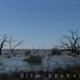 Menindee